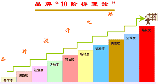 青岛网络公司